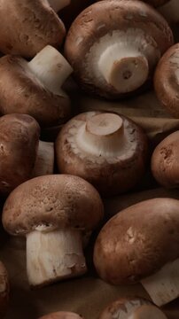 closeup of mushrooms zoom food background