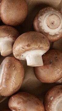 top view of champignon mushrooms rotation food