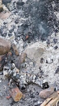 Brandgefahr im Wald: Qualmende Reste eines gel&ouml;schten Feuers mit Glutnestern, Aufsteigender Rauch aus verbranntem Holz und Asche einer Feuerstelle 
