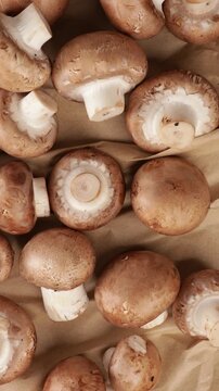 top view of fresh champignon mushrooms zoom food