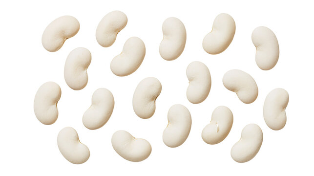 Collection of white kidney beans scattered, isolated on transparent background