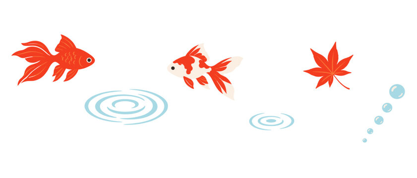 Goldfish icons with maple leaf water ripple and bubble