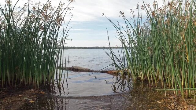 Der Cospudener See bei Leipzig im Sp&auml;tsommer