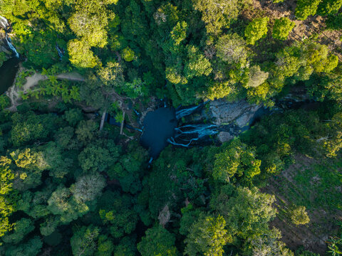 Aerial view of Banyumala Waterfall surrounded by lush tropical rainforest and dense green vegetation in Sukasada, Bali, Indonesia.