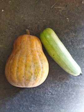 Autumn still life featuring two orange squash pumpkins and one fresh green zucchini on a neutral surface