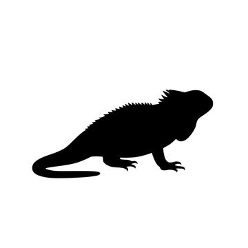 Iguana silhouette black lizard reptile shape tropical wild animal vector design element representing exotic wildlife nature chameleon prehistoric dinosaur look terrarium pet shop logo illustration.