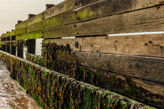 Wooden and concrete groynes are used along the beach at Walton-on-the-Naze as a form of hard coastal engineering to stop longshore drift and reduce beach erosion. Shot 21 September 2026.