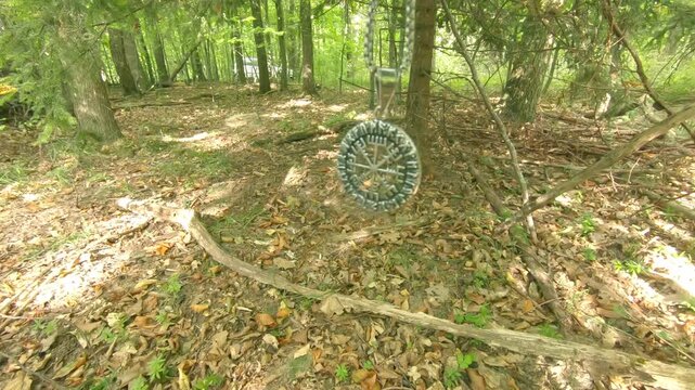 Vegvisir symbol in the forest