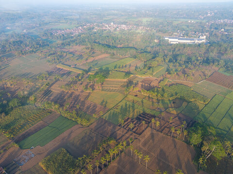 Aerial view of agricultural fields with palm trees and a small village in the distance in Ngajum, East Java, Indonesia.