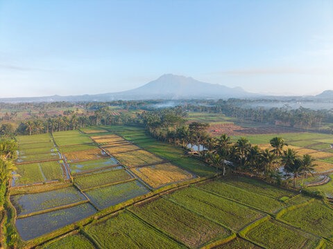 Aerial view of lush green rice paddies and agricultural fields with palm trees, set against a majestic volcano in Ngajum, East Java, Indonesia.