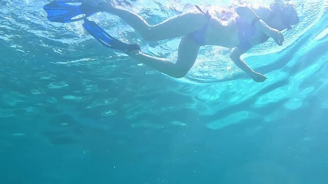 Snorkeling in the Red Sea. A girl in a swimsuit, fins and an underwater mask swims in the sea near a coral reef. Various schools of fish for diving and freediving at the seaside resorts of Egypt.