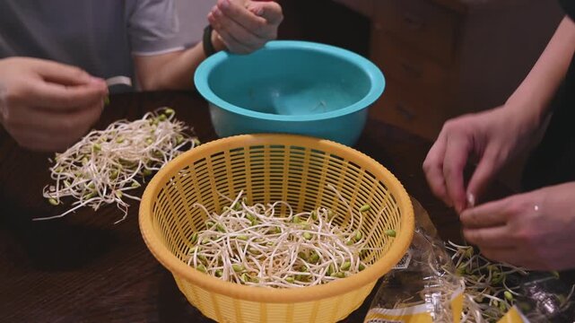 Removing Root Tails from Soybean Sprouts by Hand