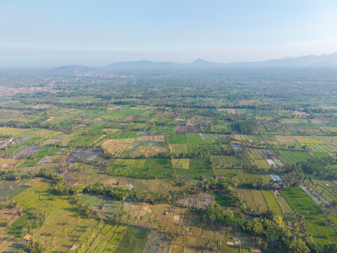 Aerial view of lush green agricultural fields and rice paddies surrounded by palm trees with distant mountains under a hazy sky in Candipuro, East Java, Indonesia.
