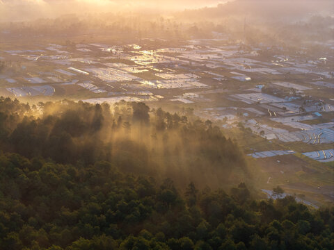 Aerial view of the misty Sumberurip agricultural fields at sunrise, with lush forest foreground and golden light filtering through the trees in Pronojiwo, East Java, Indonesia.