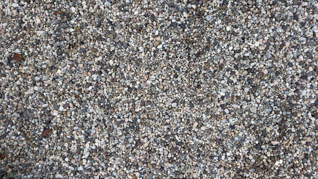 a flat dense layer of tiny multi colored pebbles and coarse gravel covers the ground creating a speckled stone texture