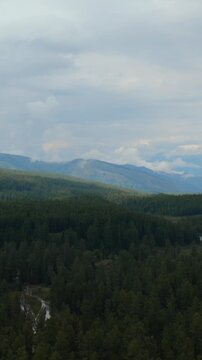 Drone footage over Multinsky Lakes valley with dense taiga forest, winding river and distant mountains under cloudy sky, Ust-Koksinsky District, Altai Republic, Russia