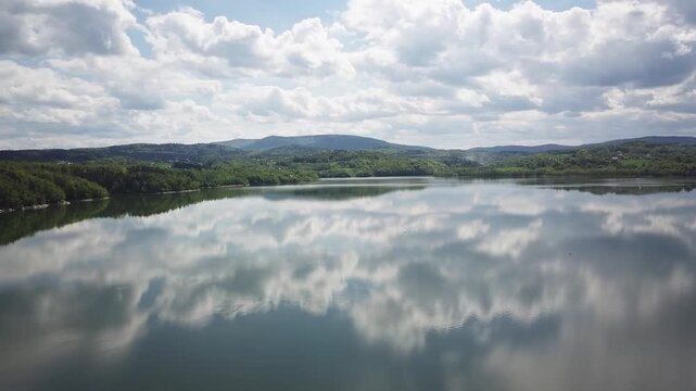 Shore of water reservoir with forest under blue sky at sunny summer day. Aerial view.
