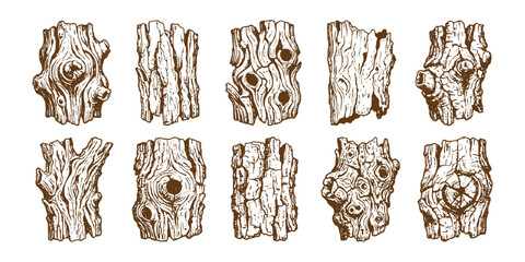 Obraz premium Hand drawn tree bark texture set with detailed wood grain patterns and natural timber pieces vector illustration.