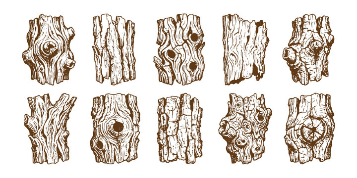 Hand drawn tree bark texture set with detailed wood grain patterns and natural timber pieces vector illustration.