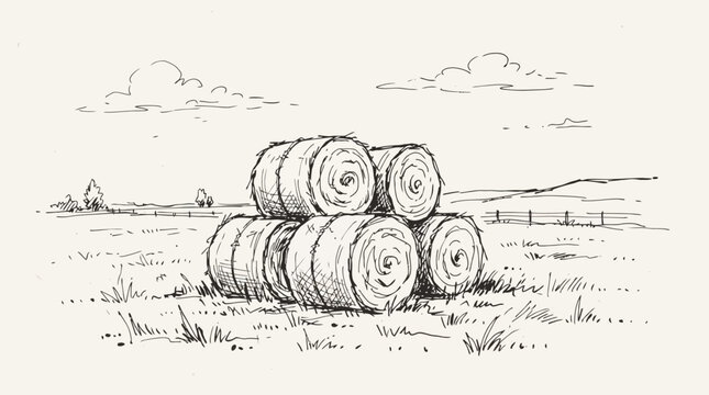 Stacked hay bales in a rural farm field hand drawn sketch illustration