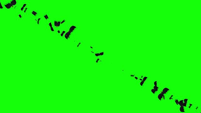 Flying Bats Silhouette Animation for Halloween Background with Green Screen