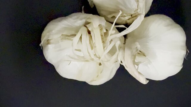 Close-up shot of three heads of garlic. Natural, healthy food.