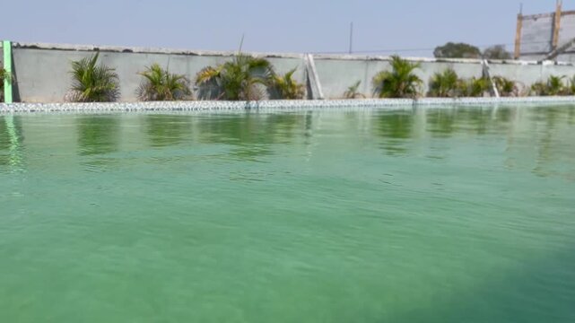 Dirty outdoor swimming pool with green water and algae