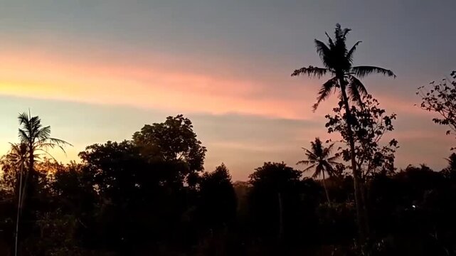 Beautiful tropical sunset sky with palm trees silhouette at dusk
