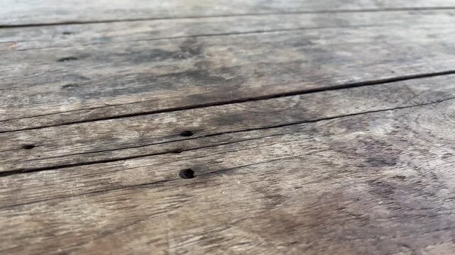 Distressed Rustic Wood Texture Background with Row of Nail Holes