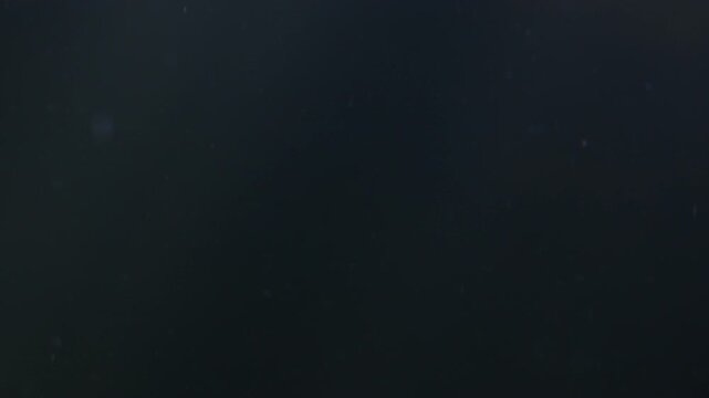 Abstract dark water background with floating dust particles drifting slowly 