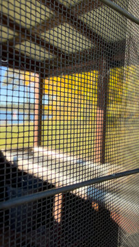 Vertical looking through a steel mess at a fish cleaning table with fall colors in the background
