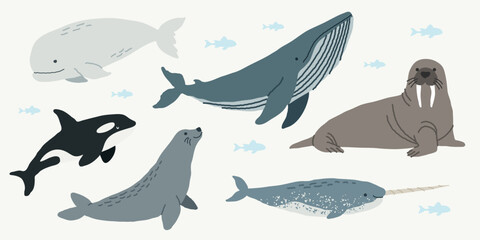 Arctic marine animals set with whale, orca, walrus, seal and narwhal © Anastasiia