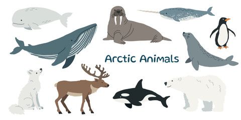 Arctic animals collection. Cute polar wildlife with beluga whale, walrus, narwhal, penguin, seal, reindeer and polar bear © Anastasiia