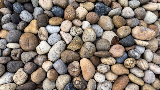 smooth rounded river rocks and pebbles in shades of grey brown and tan form a dense natural stone background