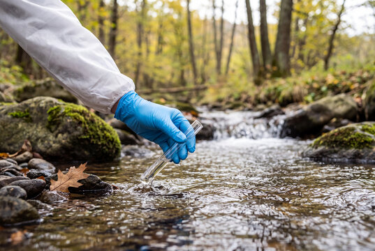Close-Up of Scientist in Protective Suit and Glove Collecting Water Sample in Test Tube from Natural Forest Stream for Quality Testing In An Outdoor Reservoir