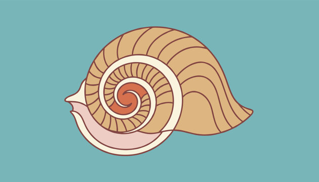 Detailed illustration of a nautilus type spiral seashell with brown and tan patterns on a calm turquoise background.
