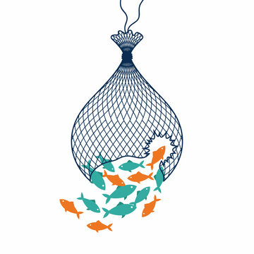 Fishing net hauled up overflowing with fish and torn open on one side