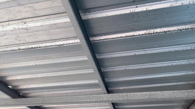 Low Angle View of Mild Steel Framing and Corrugated Roof Sheets