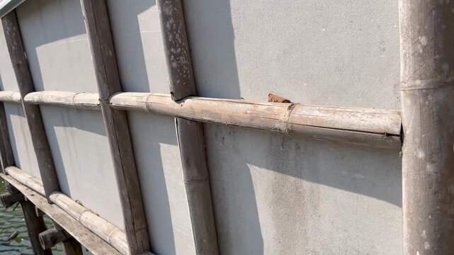 Traditional Bamboo Fence Installed Against Outdoor Concrete Wall