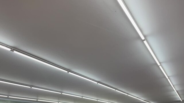 Diagonal Perspective Rows of LED Tube Lights on White Ceiling