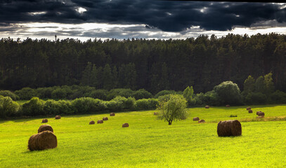 Krajobraz Po Sianokosach © Wojciech Lisiński