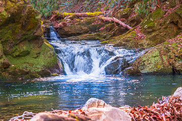 Small cascade meandering down the slope in the Cherokee NF in Tennessee, USA. © Claire