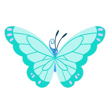 butterfly on white background