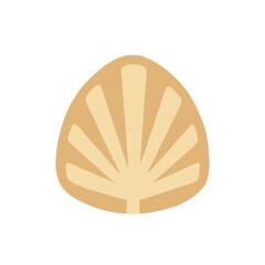Stylized Shell Illustration © ilham