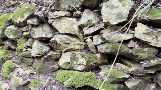 Old stone wall covered with green moss in damp, humid weather.
