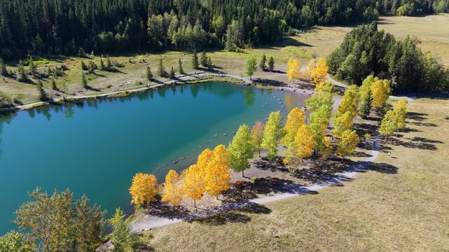 Quarry Lake aerial landscape with autumn yellow trees and majestic Canadian Rockies. Canmore, Alberta, Canada.