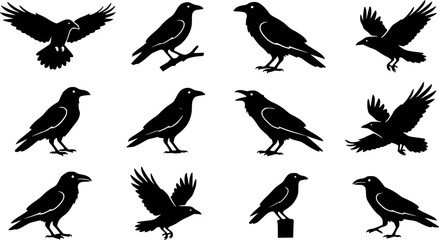 Obraz premium Raven & Crow Silhouette Silhouette Icon Set. Collection of nature & wildlife silhouettes, including raven & crow silhouette, detailed bird shapes, and more.