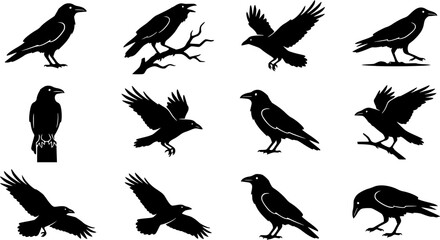 Obraz premium Raven & Crow Silhouette Silhouette Icon Set. Collection of nature & wildlife silhouettes, including raven & crow silhouette, detailed bird shapes, and more.