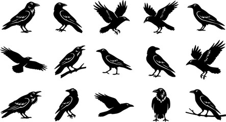 Obraz premium Raven & Crow Silhouette Silhouette Icon Set. Collection of nature & wildlife silhouettes, including raven & crow silhouette, detailed bird shapes, and more.