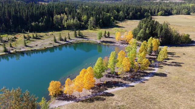 Quarry Lake aerial landscape with autumn yellow trees and majestic Canadian Rockies. Canmore, Alberta, Canada.